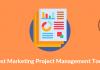 Achieve Success in Marketing Project